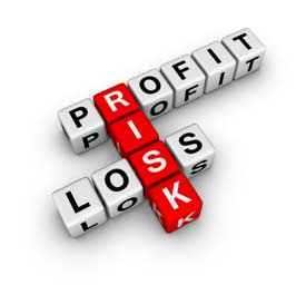 risk profit loss